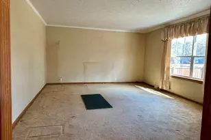 152 N Greenback St, Hesperia, MI 49421 - Photo 6