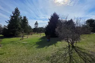 14 S 5th St, Morley, MI 49336 - Photo 28
