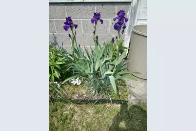 14 S 5th Street, Morley, MI 49336 - Photo 10