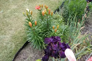 14 S 5th St, Morley, MI 49336 - Photo 18