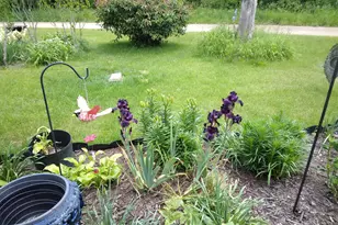 14 S 5th St, Morley, MI 49336 - Photo 20