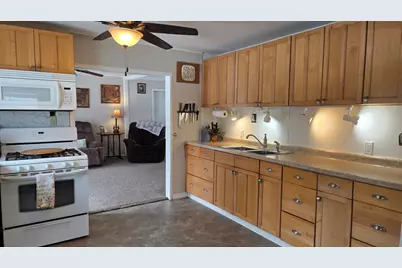 14 S 5th Street, Morley, MI 49336 - Photo 30