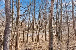 206 Dana Ln, Sand Lake, MI 49343 - Photo 22