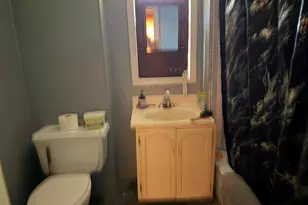 690 E Essex Dr, Idlewild, MI 49642 - Photo 14