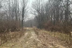 S Hillsdale Rd, Hillsdale, MI 49242 - Photo 1