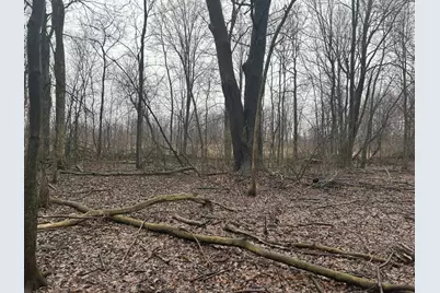 S Hillsdale Road #0 V/L, Hillsdale, MI 49242 - Photo 4