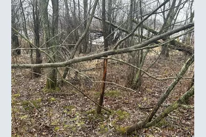 S Hillsdale Road #0 V/L, Hillsdale, MI 49242 - Photo 12