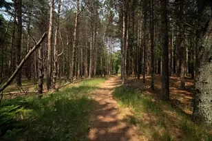 10201 Opal Ridge Dr, Onekama, MI 49675 - Photo 88