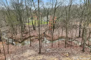 3727 Buttrick Ave SE, Ada, MI 49301 - Photo 46