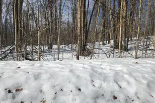 Valleyridge Circle, Alba, MI 49611 - Photo 6