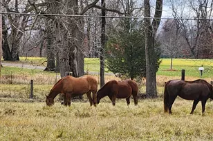 265 Indian Trail, Munith, MI 49259 - Photo 20
