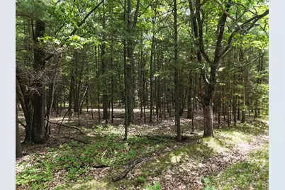 Meadow Wood Drive #40, Manistee, MI 49660 - Photo 6