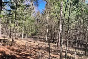 13191 Chicago Ave, Wellston, MI 49689 - Photo 28