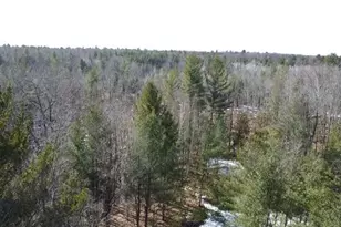 13191 Chicago Ave, Wellston, MI 49689 - Photo 72