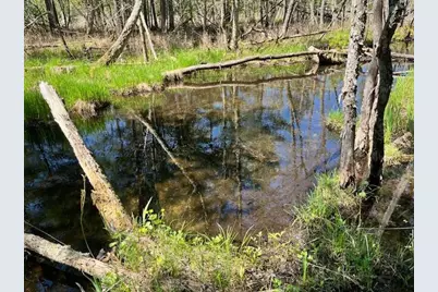 13191 Chicago Avenue, Wellston, MI 49689 - Photo 24