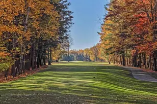 7896 Bay Mdw, Canadian Lakes, MI 49346 - Photo 58