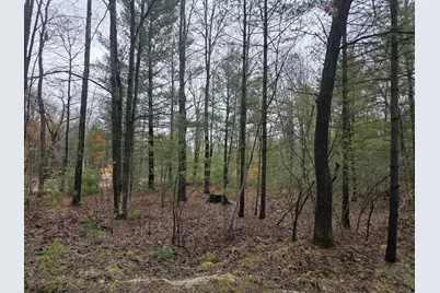 4802 E 96th Street, Newaygo, MI 49337 - Photo 2