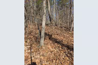 No Address E 136th Street #B lot, Sand Lake, MI 49343 - Photo 12