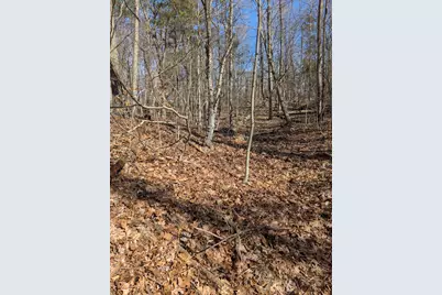 Parcel B E 136th Street, Sand Lake, MI 49343 - Photo 12