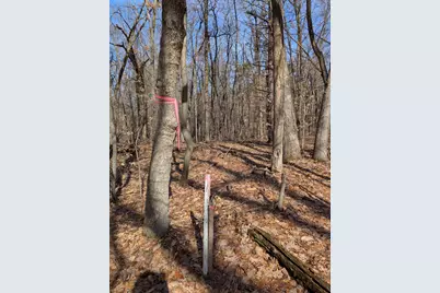 No Address E 136th Street #B lot, Sand Lake, MI 49343 - Photo 16