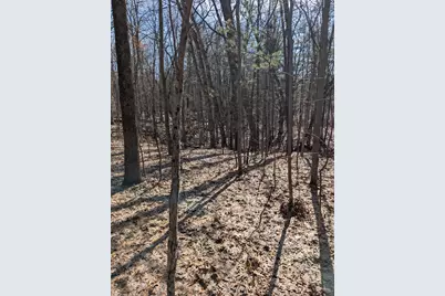 No Address E 136th Street #B lot, Sand Lake, MI 49343 - Photo 6