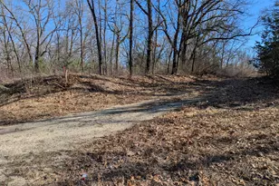 N Address E 136th St, Sand Lake, MI 49343 - Photo 1