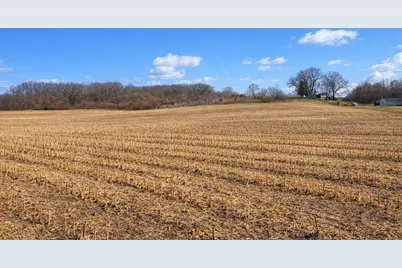 3291 Bessemer Road, Coloma, MI 49038 - Photo 1