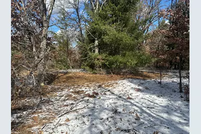 00 S Dillard Street, Baldwin, MI 49304 - Photo 12