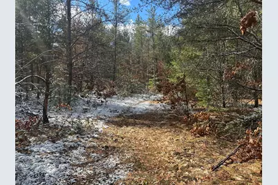 00 S Dillard Street, Baldwin, MI 49304 - Photo 16