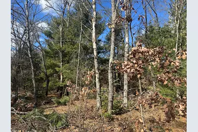 00 S Dillard Street, Baldwin, MI 49304 - Photo 10