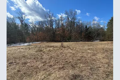 00 S Dillard Street, Baldwin, MI 49304 - Photo 4