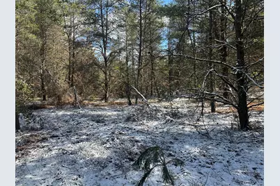 00 S Dillard Street, Baldwin, MI 49304 - Photo 30