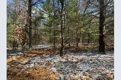 00 S Dillard Street, Baldwin, MI 49304 - Photo 34