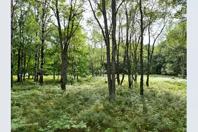 6188 Fox Run Circle, Canadian Lakes, MI 49346 - Photo 2