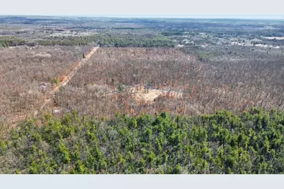 810 3 Mile Road, White Cloud, MI 49349 - Photo 8