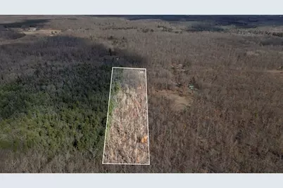 810 3 Mile Road, White Cloud, MI 49349 - Photo 40