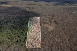 810 3 Mile Rd, White Cloud, MI 49349 - Photo 40