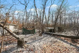 810 3 Mile Rd, White Cloud, MI 49349 - Photo 26