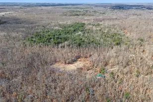 810 3 Mile Rd, White Cloud, MI 49349 - Photo 4