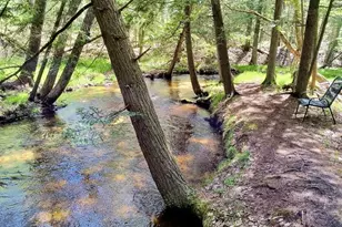 3833 E Creek Wood Dr, Chase, MI 49623 - Photo 52