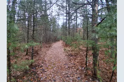 3833 E Creek Wood Drive, Chase, MI 49623 - Photo 58