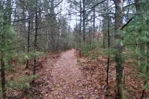 3833 E Creek Wood Dr, Chase, MI 49623 - Photo 58