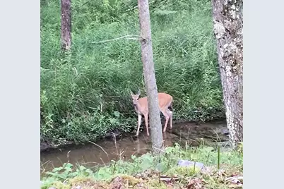 3833 E Creek Wood Drive, Chase, MI 49623 - Photo 12