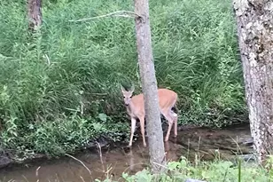 3833 E Creek Wood Dr, Chase, MI 49623 - Photo 12