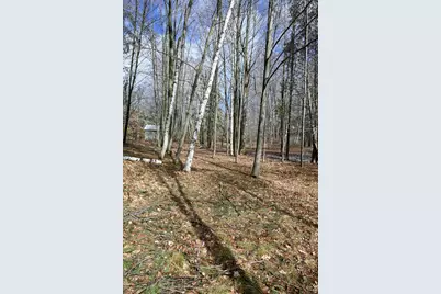 9828 Pontiac Trail, Evart, MI 49631 - Photo 4