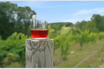 4050 W Orchard Drive, Hart, MI 49420 - Photo 80