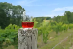 4050 W Orchard Dr, Hart, MI 49420 - Photo 80