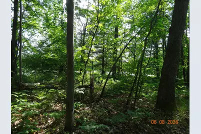550 S Oak Avenue, White Cloud, MI 49349 - Photo 20