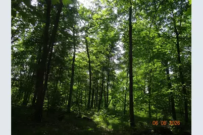 550 S Oak Avenue, White Cloud, MI 49349 - Photo 14