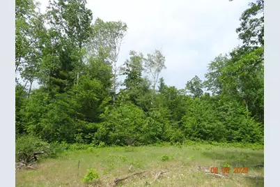 550 S Oak Avenue, White Cloud, MI 49349 - Photo 6